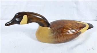 David R Jackson Salt Spring Island BC Canada duck - David R. Jackson