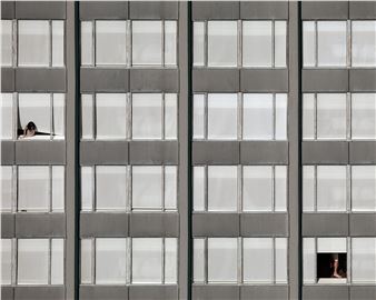 Divergent Landscapes - Robert Koch Gallery
