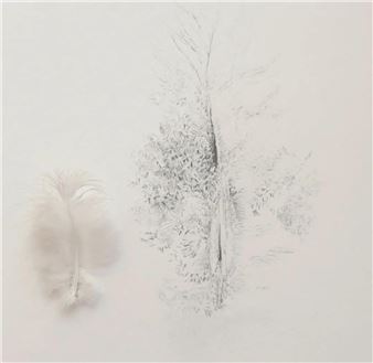 'Dove's Feather' - Sarah Goudie