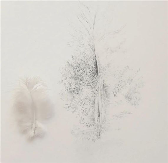 'Dove's Feather' - Sarah Goudie