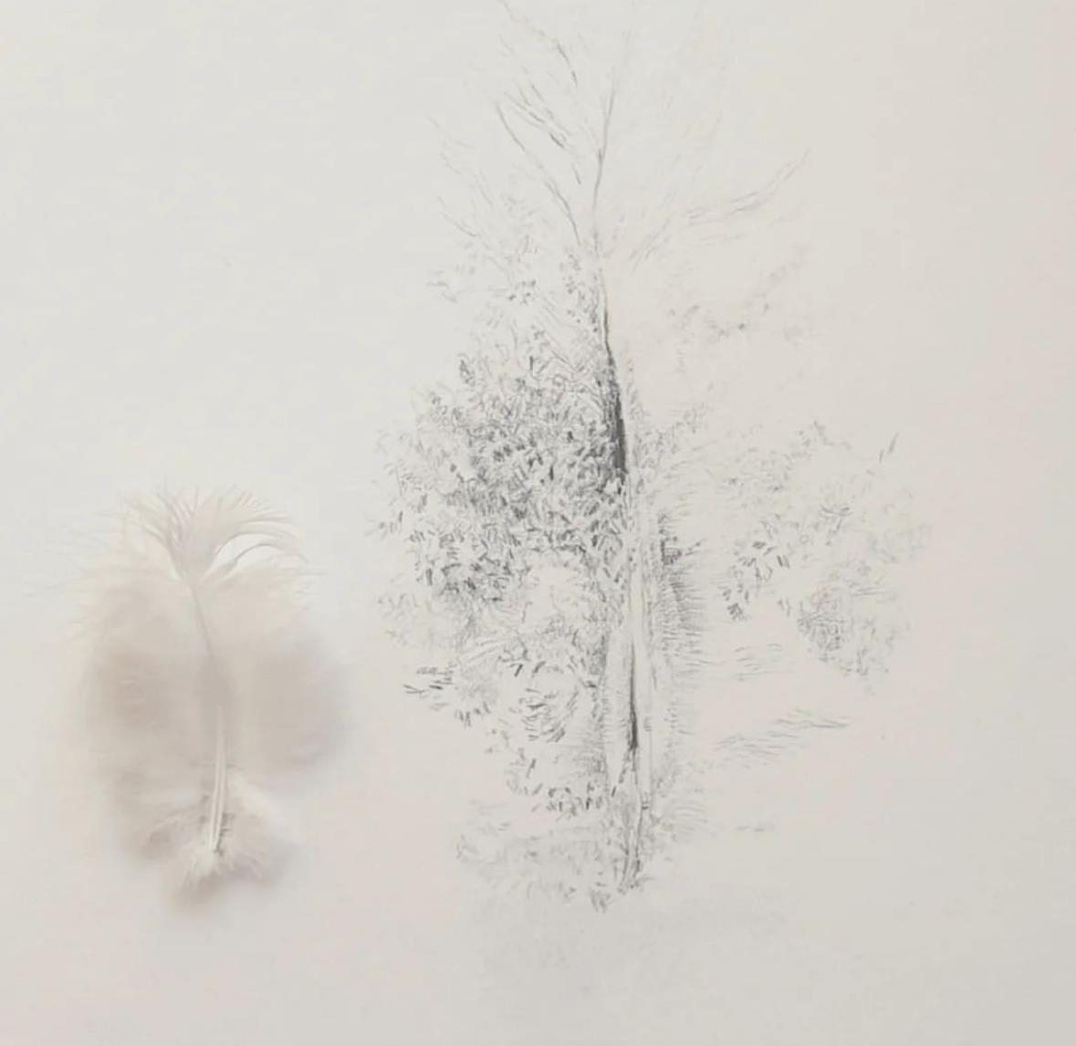 Artwork by Sarah Goudie, 'Dove's Feather', Made of pencil drawing