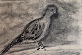 Charcoal - Kayla Mohammadi