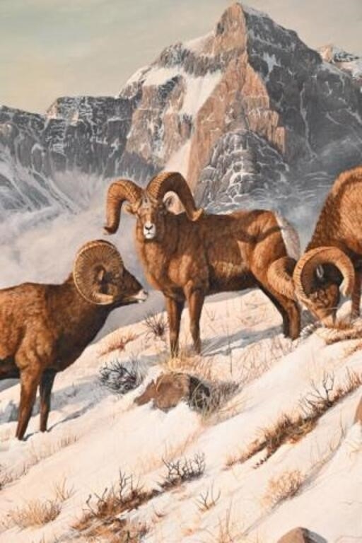 Gary R. Swanson | Gary R. Swanson Oil Painting of Rams | MutualArt
