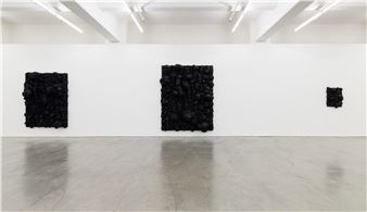 Jan Nel­son: Black Riv­er Run­ning #16 - Anna Schwartz Gallery, Melbourne