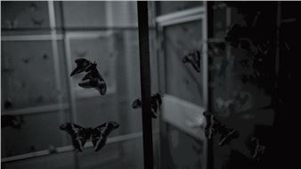 Giorgio Andreotta Calò: When It's Almost Dark - Annet Gelink Gallery