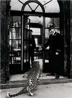 La Panthère Cartier 1950 - Jean Lariviere