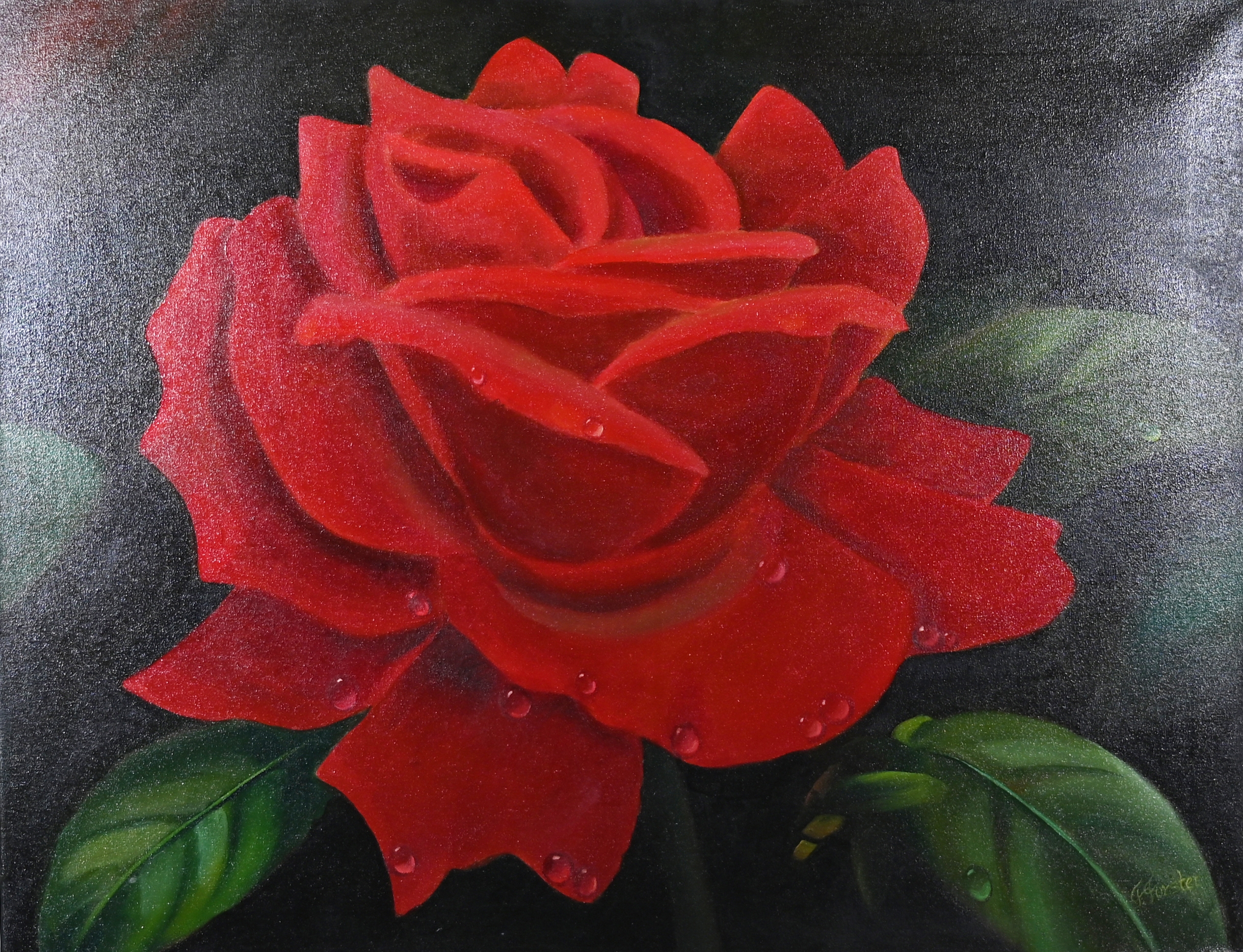 Frank Forster | Rote Rose | MutualArt