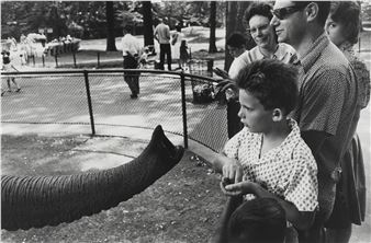 Garry Winogrand | Garry Winogrand (American, 1928-1984) Bronx Zoo