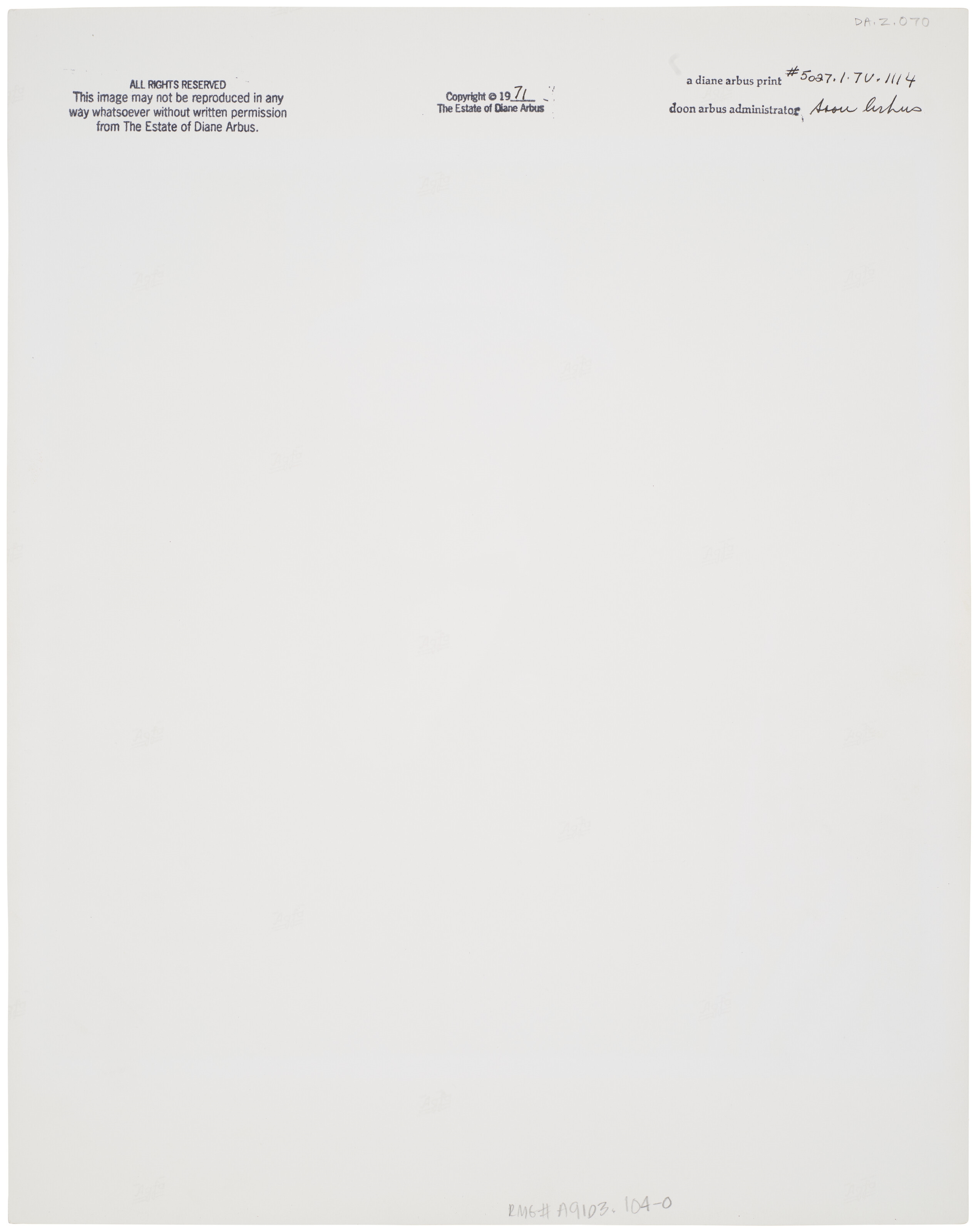 Artwork by Diane Arbus, Boy with a straw hat waiting to march in a pro-war parade, NYC, 1967, Made of gelatin silver print