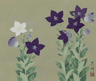 bell flower - Reimei Shindo