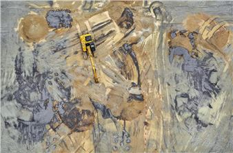 Work in Progress by Peter Essick