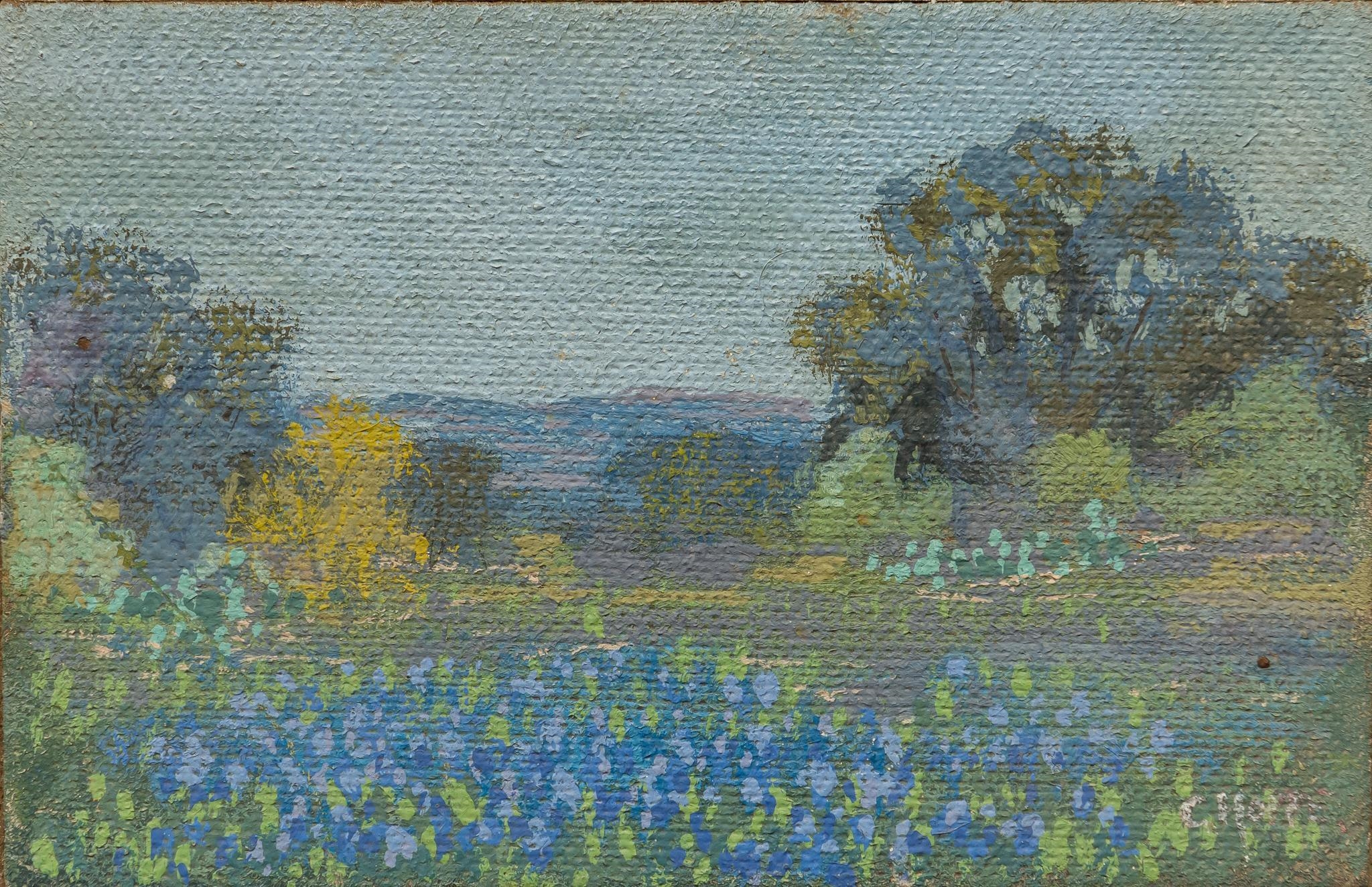 Artwork by Carl Thomas Hoppe, Bluebonnet Study, Made of oil on masonite