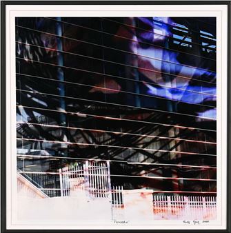 Nicole Rowe (South Africa, 1982 - ), Fenced In - Nicole Rowe