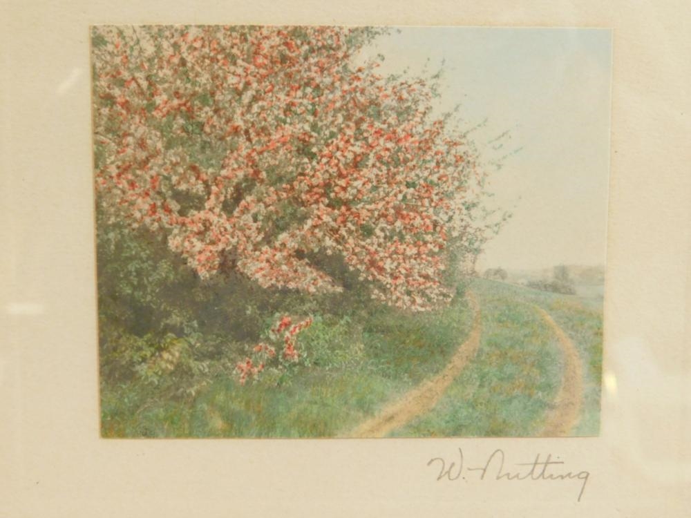 Wallace Nutting | 4 Wallace3 Nutting Colored Photos | MutualArt