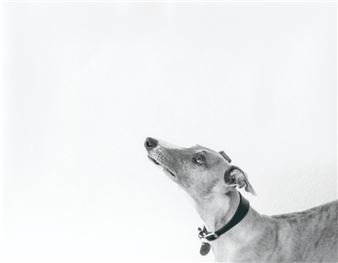 Jochen Lempert - ProjecteSD