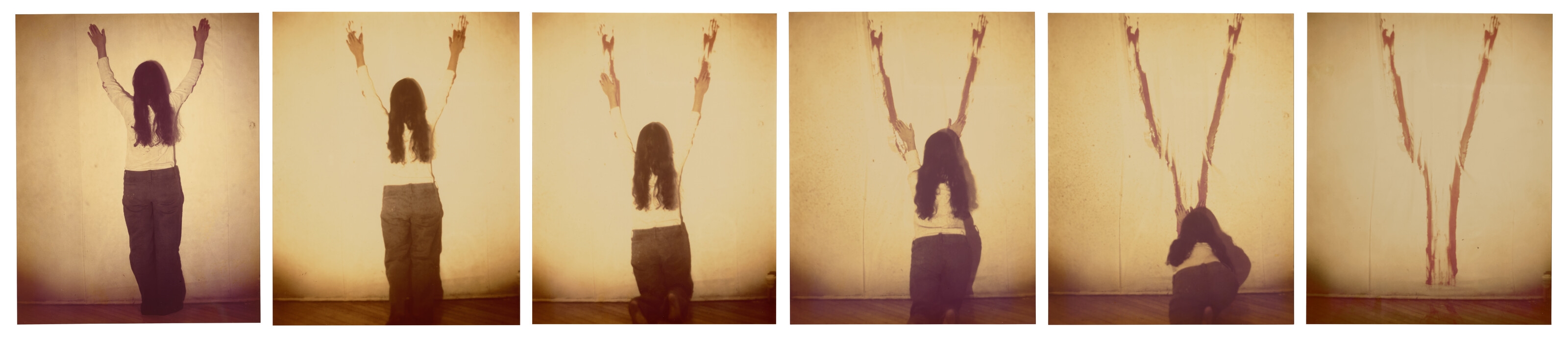 Ana Mendieta | Untitled (Body Tracks) (1974) | MutualArt