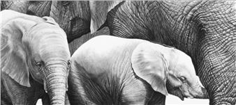 Gary Hodges: Drawn From The Heart - Mall Galleries