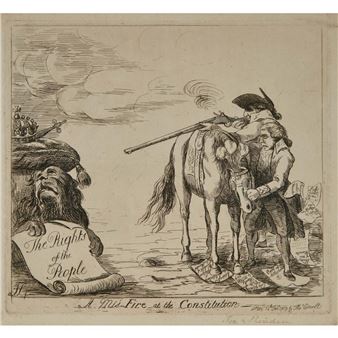 A MIS-FIRE AT THE CONSTITUTION - James Sayers