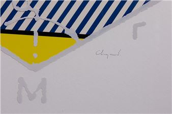 Leuke vraagstukjes - Thierry Renard