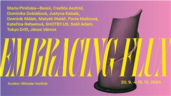 Embracing Flux - Pragovka