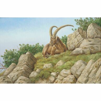 Steinbock am Hang by Friedrich Reimann