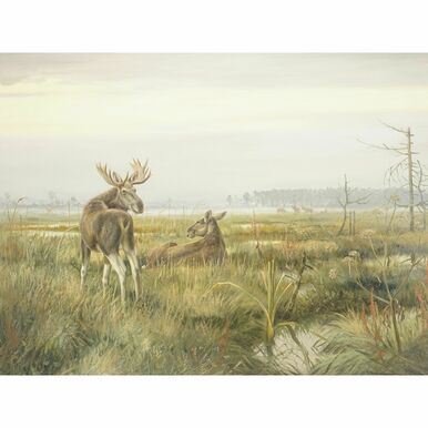 Elche in weiter Landschaft by Friedrich Reimann