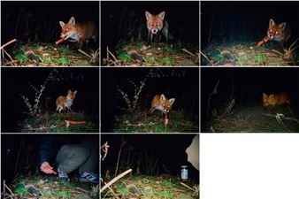 Daimler Str. 38 - Tue Greenfort