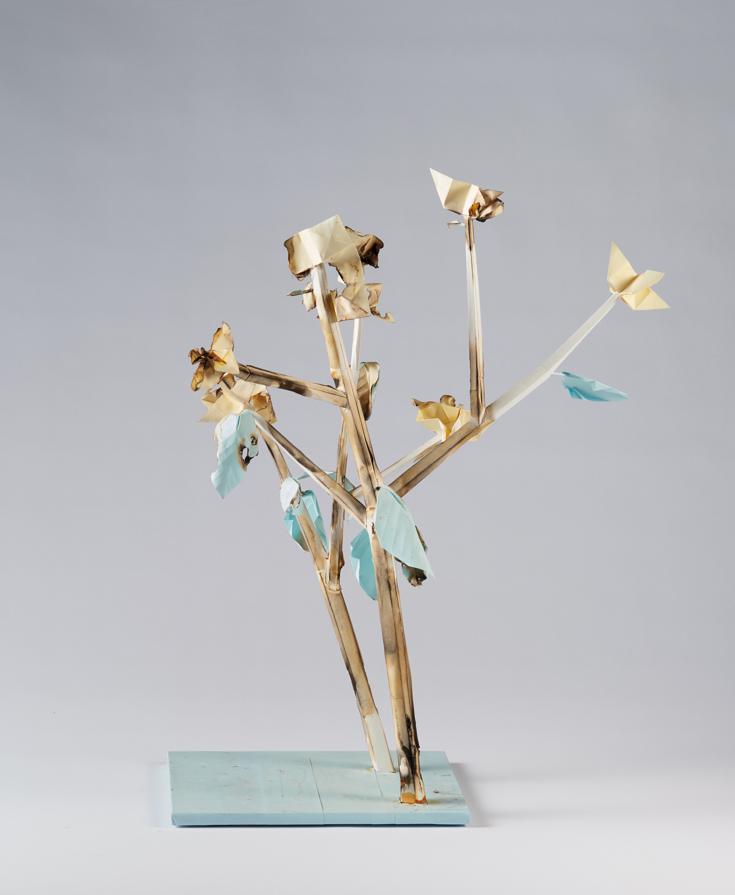 Artwork by Tobias Rehberger, Kaputte Zwergenmutter 19, Made of Papier (teilweise verkohlt), Draht, Holz, Bauschaum