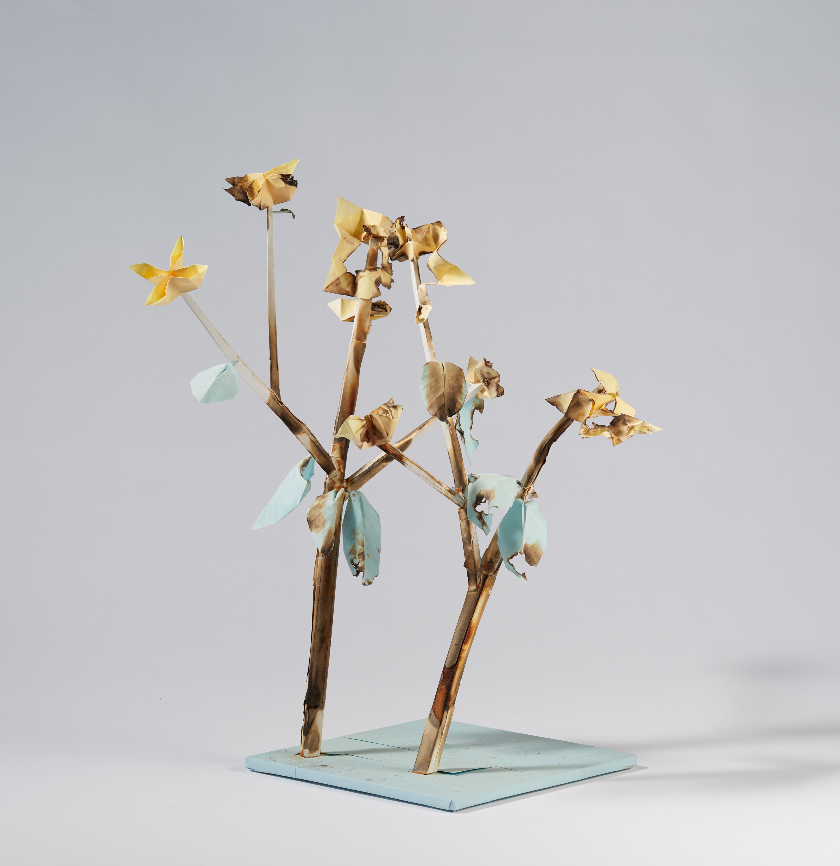 Artwork by Tobias Rehberger, Kaputte Zwergenmutter 19, Made of Papier (teilweise verkohlt), Draht, Holz, Bauschaum