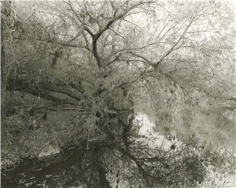 Mark Ruwedel: Landscapes Of Four Ecologies - Gallery Luisotti