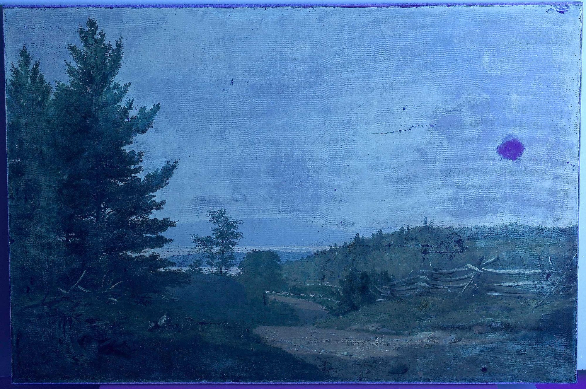 Artwork by Sanford Robinson Gifford, Scenery Near Lake George, Made of oil on canvas