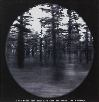 &#39;Here be Monsters - it was three feet high with arms and hands like a monkey&#39; - Martin Healy