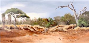 DRY RIVERBED - Gerhard Smit