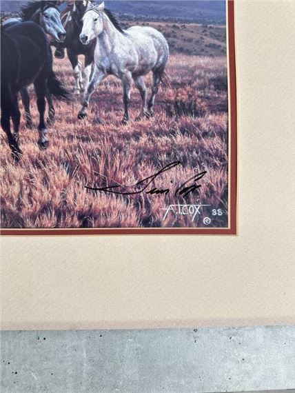 Tim Cox | Tim Cox Twilight Print | MutualArt