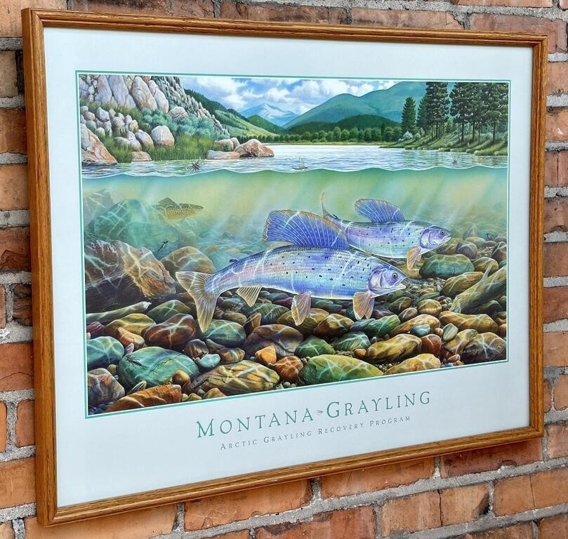 Artwork by Monte Dolack, Monte Dolack Montana Grayling Print, Made of Print