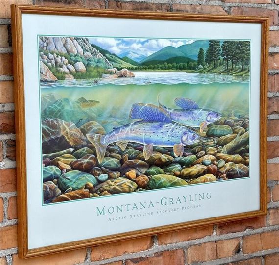 Monte Dolack Montana Grayling Print by Monte Dolack