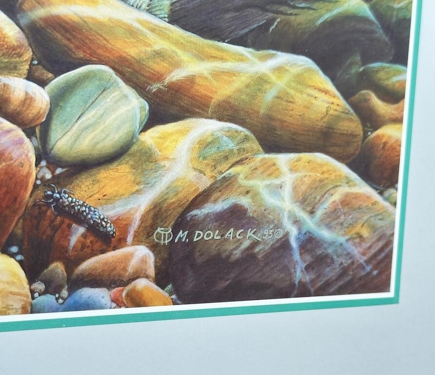 Artwork by Monte Dolack, Monte Dolack Montana Grayling Print, Made of Print