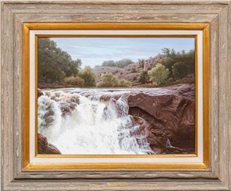 Spring Creek Falls - Curtis W. Dykes