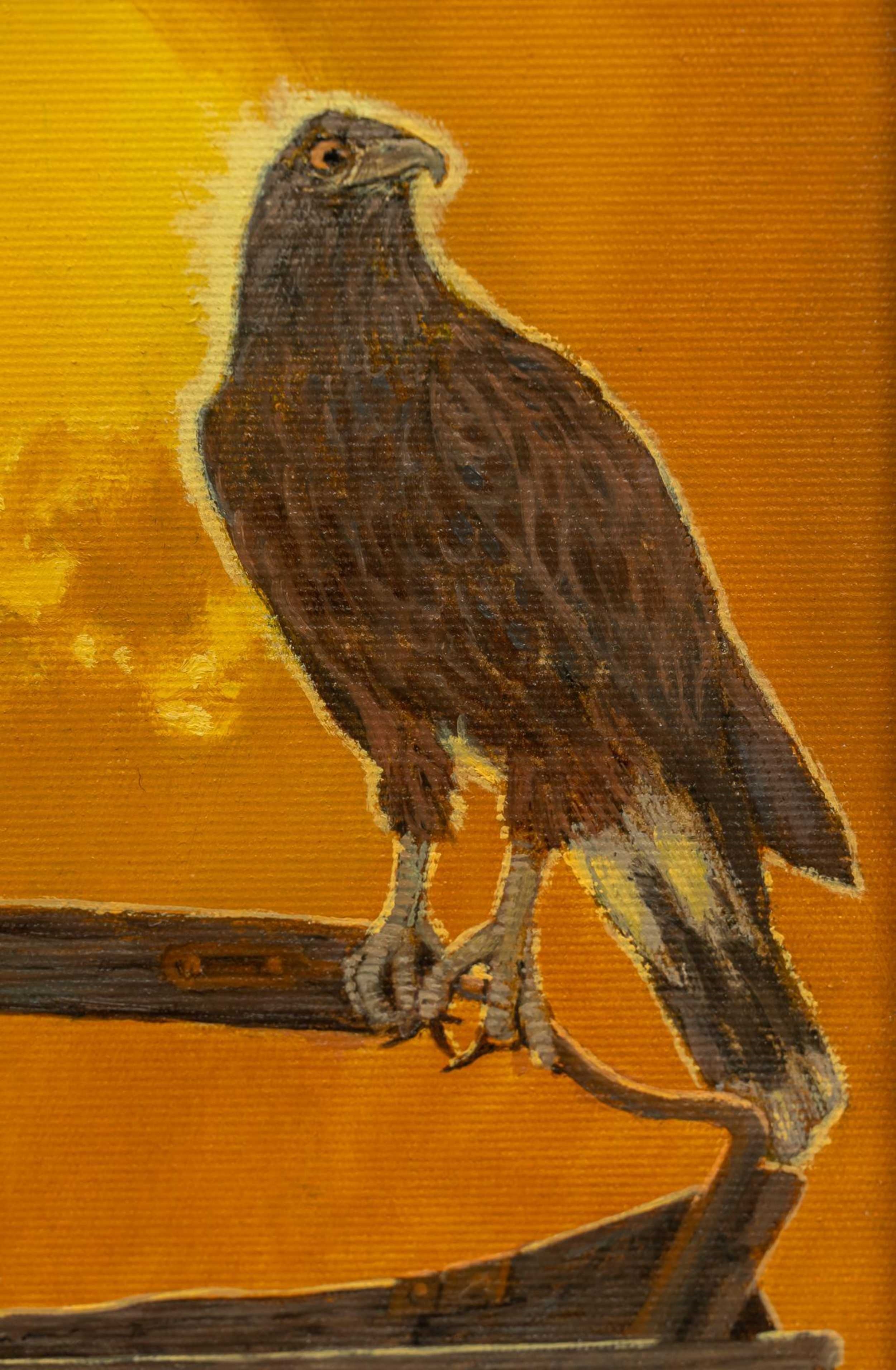Barron Postmus | Ranch Hawk | MutualArt