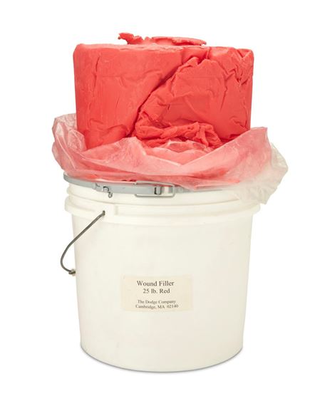 03/26/04 - Shot 10 by Robert Beck, 2004