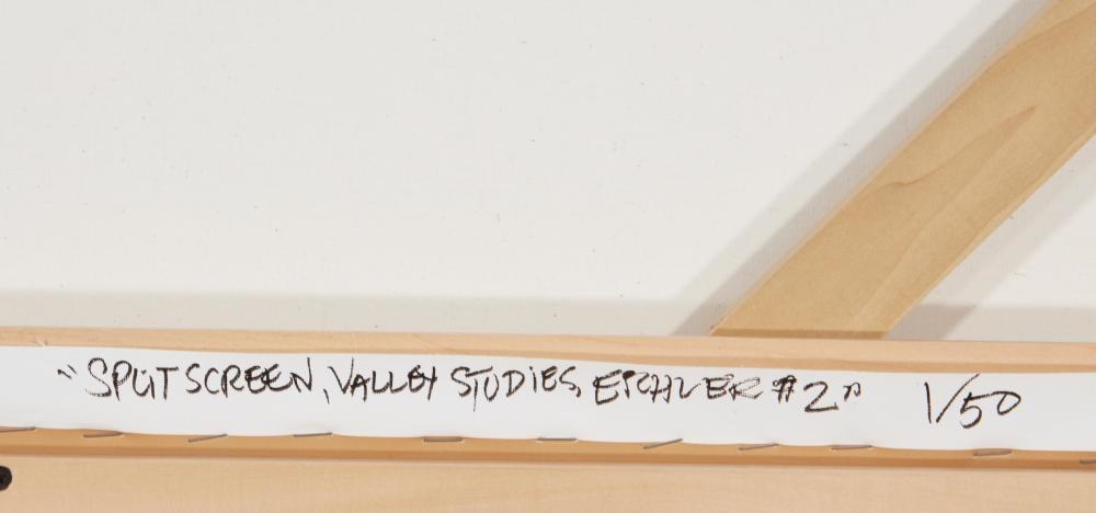 Artwork by Nat Reed, The Valley Studies, Eichler #2" from the "Split Screen" series, Made of Pigment print on canvas