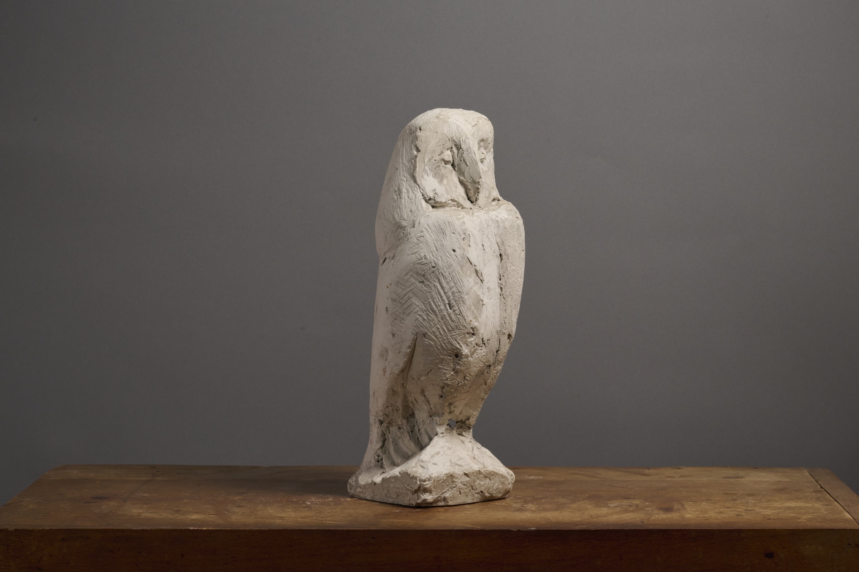 Artwork by Paul-henri Friquet, Chouette effraie, c