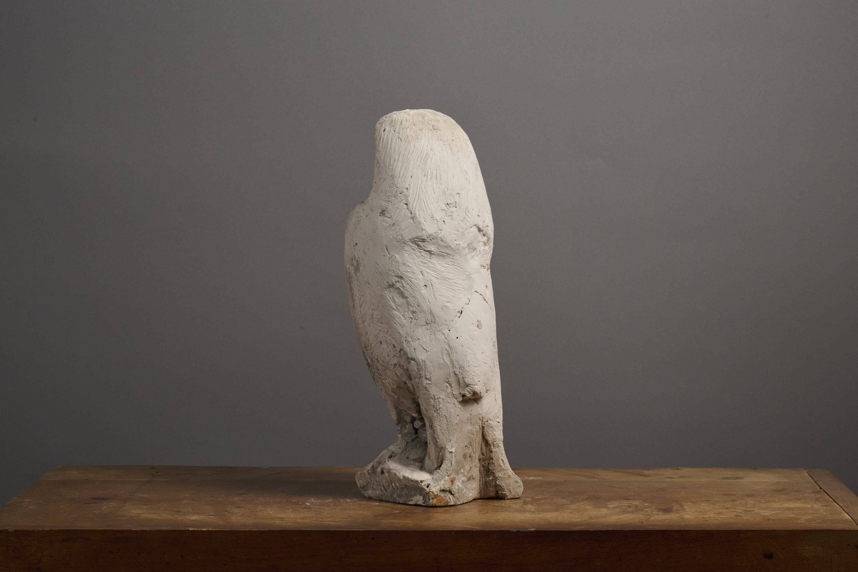 Artwork by Paul-henri Friquet, Chouette effraie, c