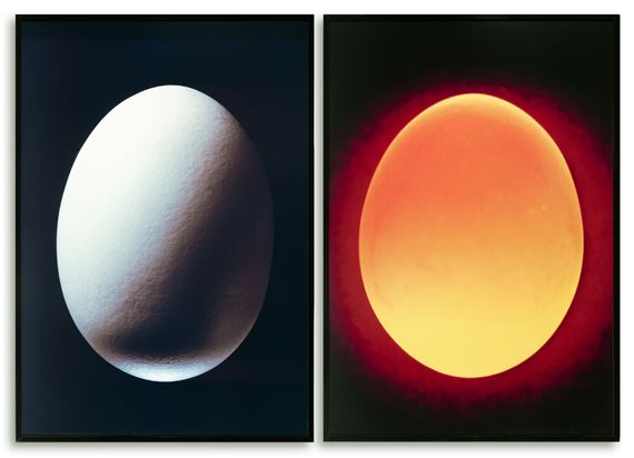 Egg 1 & Egg 2 (1999