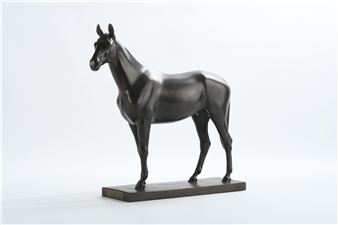 Portrait du cheval Honduras - Willem Krieger