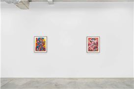 Zio Ziegler's second solo exhibition with Almine Rech on view in Brussels