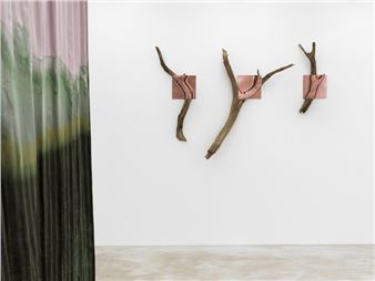Edith Dekyndt: Animal Methods - Konrad Fischer Galerie, Berlin