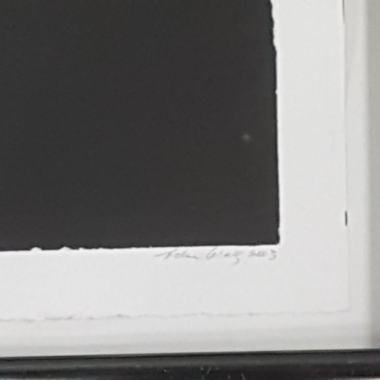 Artwork by Adu Gindy, paper "The Sky is Falling" 24 1/4" x 32 1/4" O.D., Made of acrylic