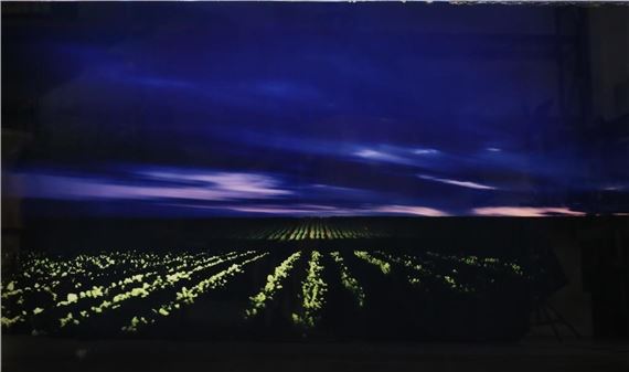 Daniel Sandberg Photograph on Glass Field 4 - Daniel Sandberg