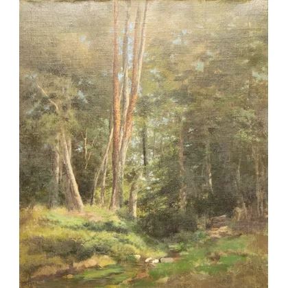 Bosgezicht op zonnige dag by Louwrens Hanedoes